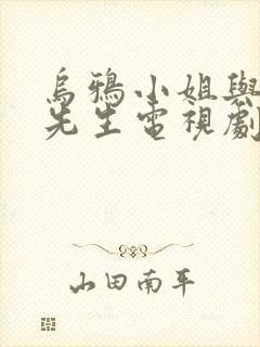 乌鸦小姐与蜥蜴先生电视剧全集免费观看封面