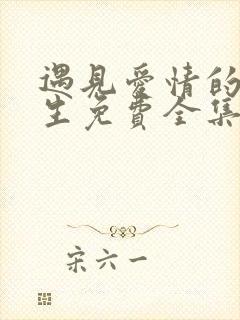 遇见爱情的利先生免费全集