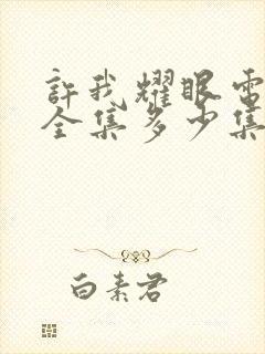 许我耀眼电视剧全集多少集啊封面