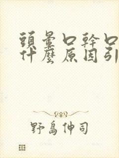 头晕口干口苦是什么原因引起的