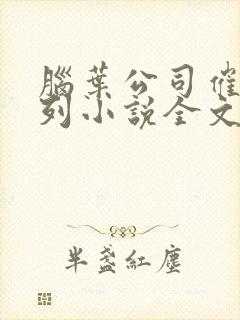 脑叶公司催眠系列小说全文阅读