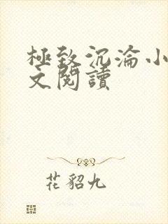 极致沉沦小说全文阅读