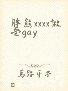 胖熊xxxx做受gay