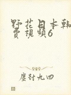 野花日本韩国免费视频6