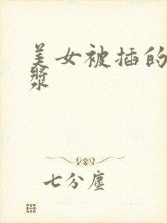 美女被插的冒白浆封面