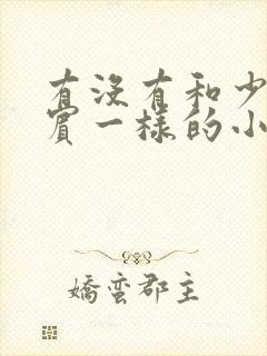 有没有和少年阿宾一样的小说