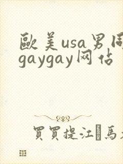 欧美usa男同gaygay网站