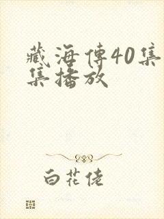 藏海传40集全集播放