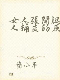 女人张开腿让男人桶爽的原文封面