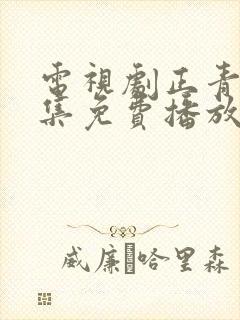 电视剧正青春全集免费播放