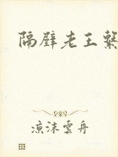 隔壁老王系统封面