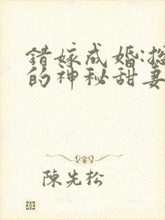 错嫁成婚:总裁的神秘甜妻