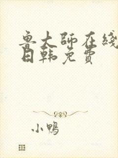 鲁大师在线播放日韩免费