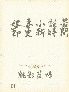 娘妻小说最新章节更新时间封面