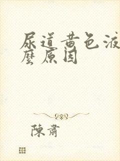 尿道黄色液体什么原因