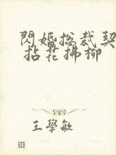 闪婚总裁契约妻 拈花拂柳封面