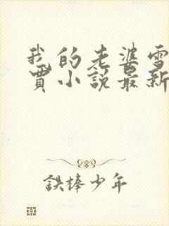 我的老婆雪儿老贾小说最新章节更新