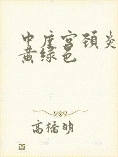 中度宫颈炎白带黄绿色封面