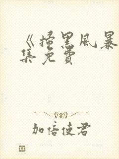 《扫黑风暴》全集免费