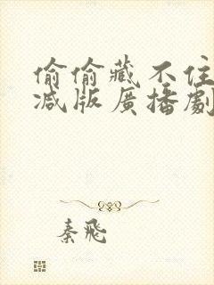 偷偷藏不住未删减版广播剧