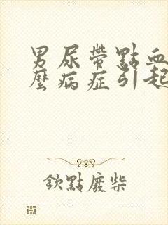 男尿带点血是什么病症引起的