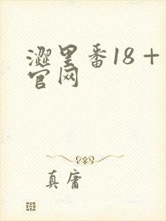 涩里番18 +官网封面