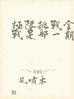 极限挑战金条大战是哪一期