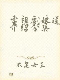 电视剧娘道剧情介绍分集封面