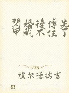 闪婚后傅先生马甲藏不住了免费全文下载封面