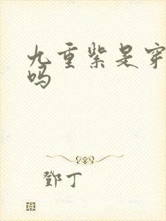 九重紫是穿越剧吗