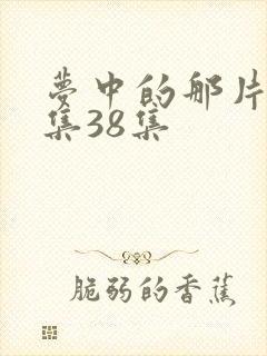 梦中的那片海全集38集