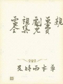 电视剧单亲妈妈全集免费封面