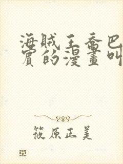 海贼王乔巴和罗宾的漫画叫啥