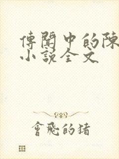 传闻中的陈芊芊小说全文