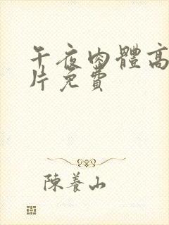 午夜肉体高潮毛片免费