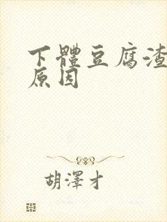 下体豆腐渣白带原因封面