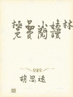 极品小姨林浩云免费阅读封面