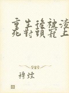 重生后被渣男的死对头宠上天短剧免费封面