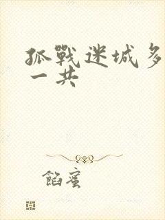 孤战迷城多少集一共