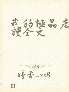 我的极品老婆阅读全文