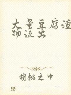 大量豆腐渣分泌物流出