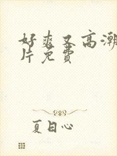 好爽又高潮了毛片免费