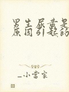 男生尿黄是什么原因引起的