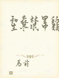 和森林里的熊先生冬眠中类似的动漫