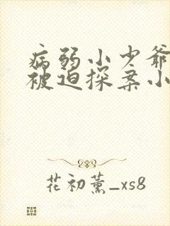 病弱小少爷又在被迫探案小说