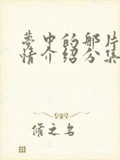 梦中的那片海剧情介绍分集