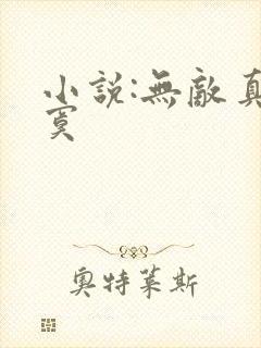 小说:无敌真寂寞