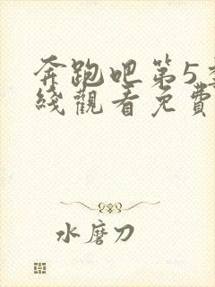 奔跑吧第5季在线观看免费版高清