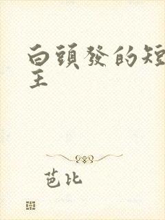 白头发的短发女主