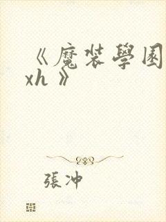 《魔装学园 hxh 》